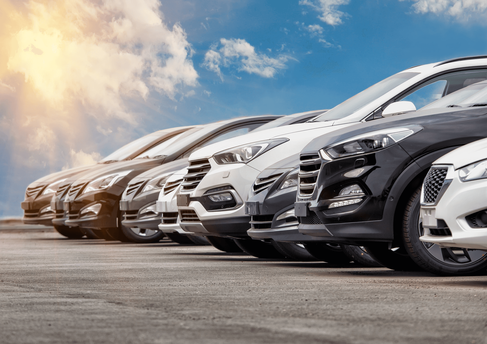 Vehicles prepared for international shipping at a cargo port